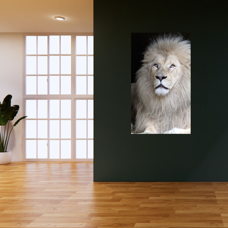 Canvas Print Bright Lion Hair White Majesticity 80x120 cm