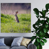 Canvas Print Animals Hare 40x40 cm