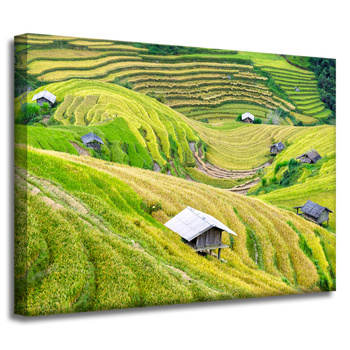 Canvas Print Nature Agricultural Terraces 40x30 cm