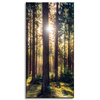 Canvas Print Forest Sun Trees Spring Morning 40x80 cm