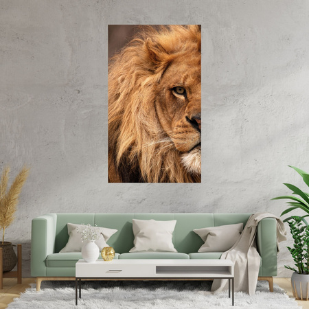 Canvas Print Face Mane and Eye of Lion Nature 80x120 cm