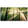Canvas Print Sun in the Forest Trees Nature 120x60 cm