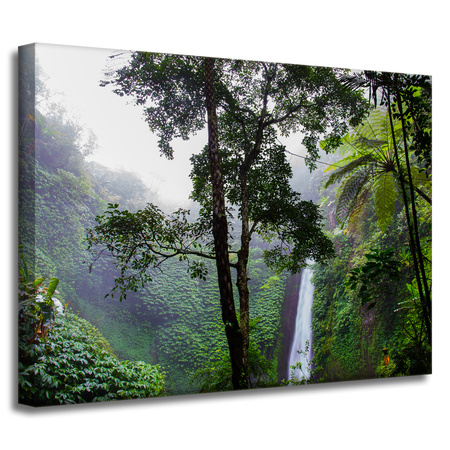 Canvas Print Nature Tropical Forest 40x30 cm