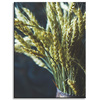 Canvas Print Botany Wheat ears in a vase 30x40 cm