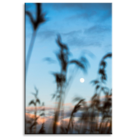 Canvas Print Nature Glade Meadow Sunrise 80x120