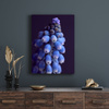 Canvas Print Botany Hyacinth 30x40 cm