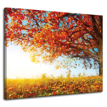 Canvas Print Beautiful Tree Red Leaves Autumn 100x80 cm