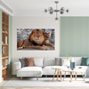 Canvas Print Pair of Lions Lying Nature 100x80 cm