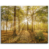 Canvas Print Sun Between Trees in the Forest 50x40 cm
