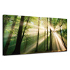Canvas Print Sun in the Forest Trees Nature 120x60 cm