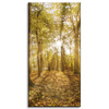 Canvas Print Sun Between Trees in the Forest 40x80 cm