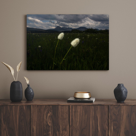 Canvas Print Nature Wildflowers 40x30 cm