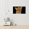 Canvas Print Baby Lion Face Eyes Beauty 100x80 cm