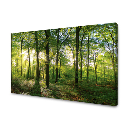 Canvas Print Sun Forest Trees Rays of Light 90x60 cm