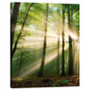 Canvas Print Sun in the Forest Trees Nature 40x50 cm