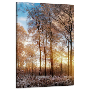 Canvas Print Trees Winter Rising Sun 60x90 cm