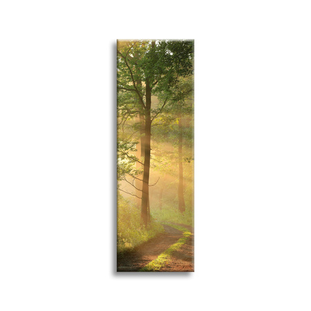 Canvas Print Sunlight Forest Path Nature 40x120 cm