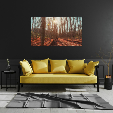 Canvas Print Autumn Forest Leaves Colorful Nature 100x80 cm