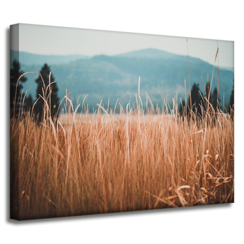 Canvas Print Nature Blades of Grass 40x30 cm