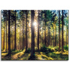 Canvas Print Forest Sun Trees Spring Morning 40x30 cm