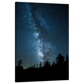 Canvas Print Space Night Forest Nebula 80x120