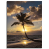 Canvas Print Nature Palm Sunset 30x40 cm