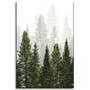 Canvas Print Rain Forest Nature Trees 40x60 cm
