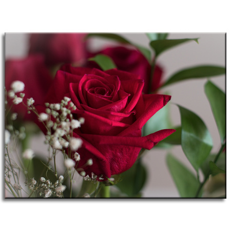 Canvas Print Botanical Red Roses 40x30 cm