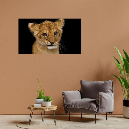 Canvas Print Baby Lion Face Eyes Beauty 100x80 cm