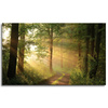 Canvas Print Sunlight Forest Path Nature 100x60 cm