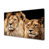Canvas Print Portrait of Lion Pair Wilderness Couple 100x80 cm