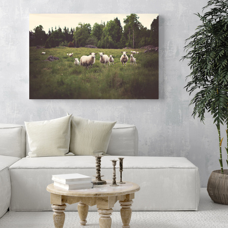 Canvas Print Nature Sheep on Pasture 120x40