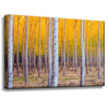 Canvas Print Birch Trees Autumn Yellow Leaves 60x40 cm