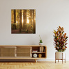 Canvas Print Sun Rays Forest Trees 50X50 cm
