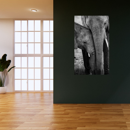 Canvas Print Black and White Elephant Couple Nature 80x120 cm