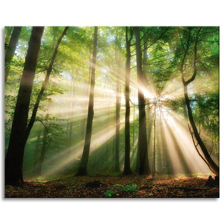 Canvas Print Sun in the Forest Trees Nature 100x80 cm