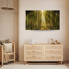 Canvas Print Forest Trees Sun Nature Spring 120x80 cm