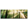 Canvas Print Sun in the Forest Trees Nature 120x40 cm