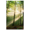 Canvas Print Sun in the Forest Trees Nature 60x100 cm