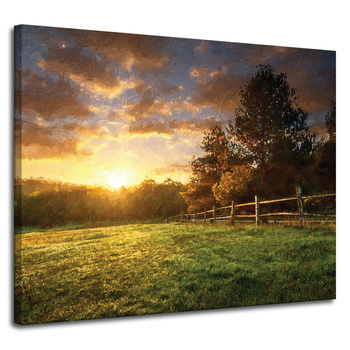 Canvas Print Sun Landscape Rural Trees Meadow 100x80 cm