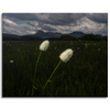 Canvas Print Nature Wildflowers 100x80 cm