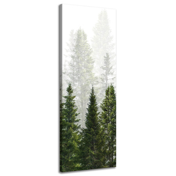 Canvas Print Rain Forest Nature Trees 40x120 cm
