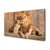 Canvas Print Lion and Lion Cub Nature Rocks Light 100x80 cm