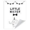 Little mister Birthday Poster 40X50 cm