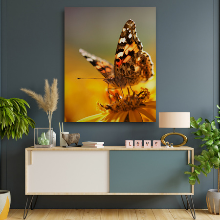 Canvas Print Animals Butterfly on Flower 80x120