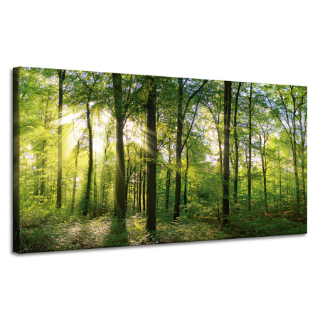Canvas Print Sun Forest Trees Rays of Light 120x60 cm