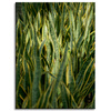 Canvas Print Botanical Green Grass 30x40 cm