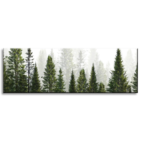 Canvas Print Rain Forest Nature Trees 120x40 cm