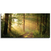 Canvas Print Sunlight Forest Path Nature 120x60 cm