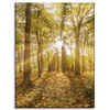 Canvas Print Sun Between Trees in the Forest 30x40 cm